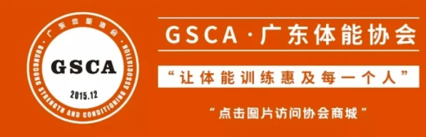 业余爱好者如何利用智能工具提升篮球水平_1